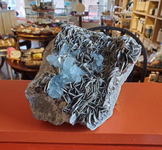 X-Large Aquamarine & Muscovite