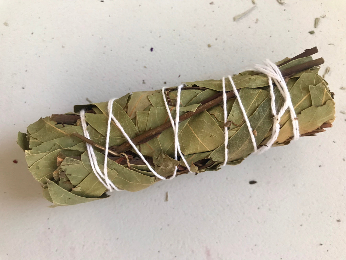 Eucalyptus & Bay Leaf Bundle 4"