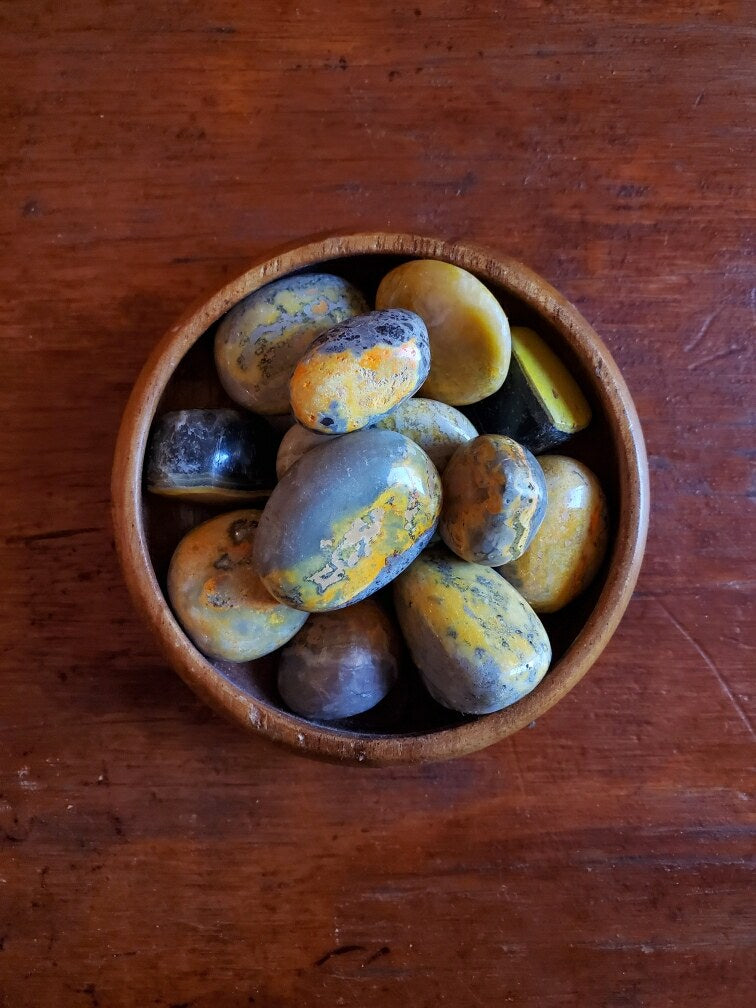 Bumble Bee Jasper