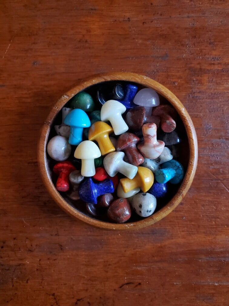 Mini Assorted Crystal Mushroom