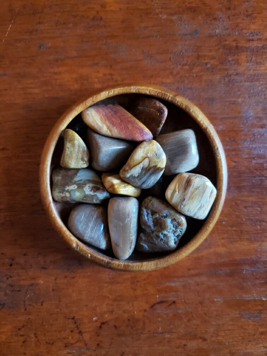 Petrified Wood- tumbled