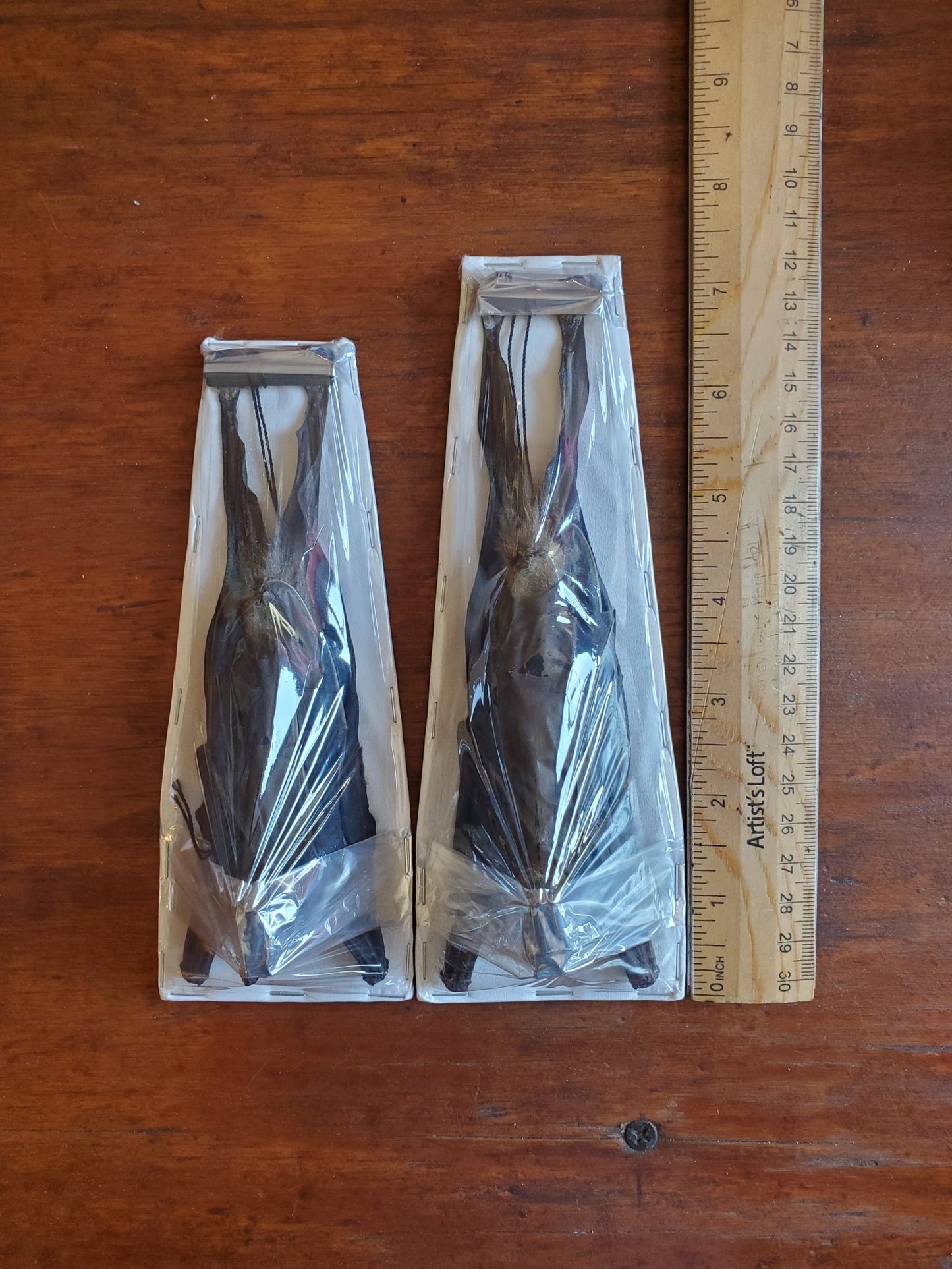 Bat Specimen