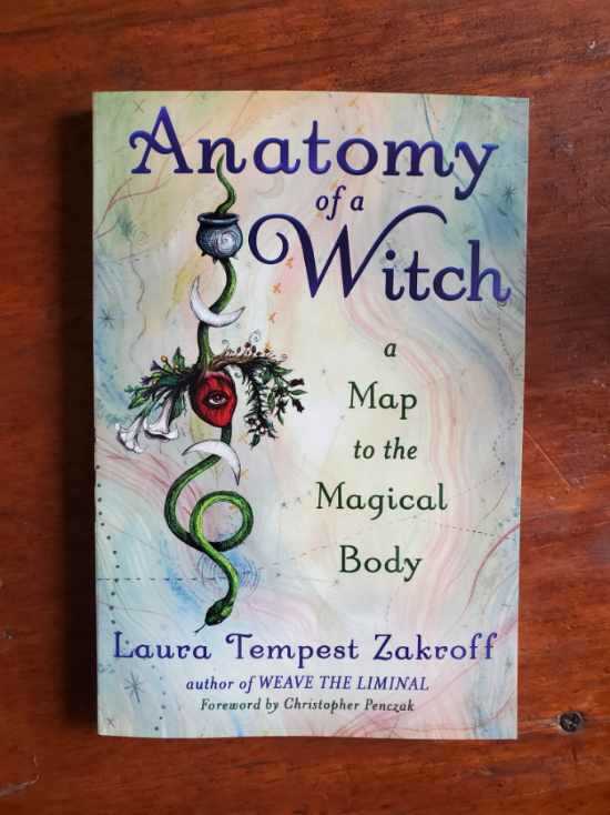 Anatomy of a Witch