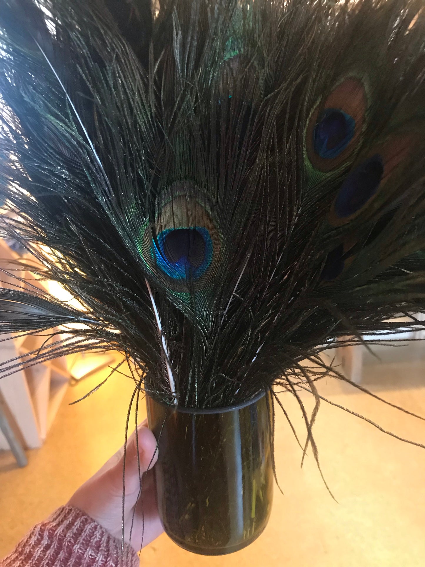 Natural Peacock Tail Eye Feather - Sold Individually