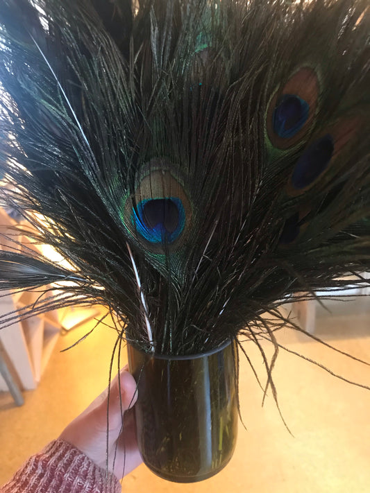 Natural Peacock Tail Eye Feather - Sold Individually