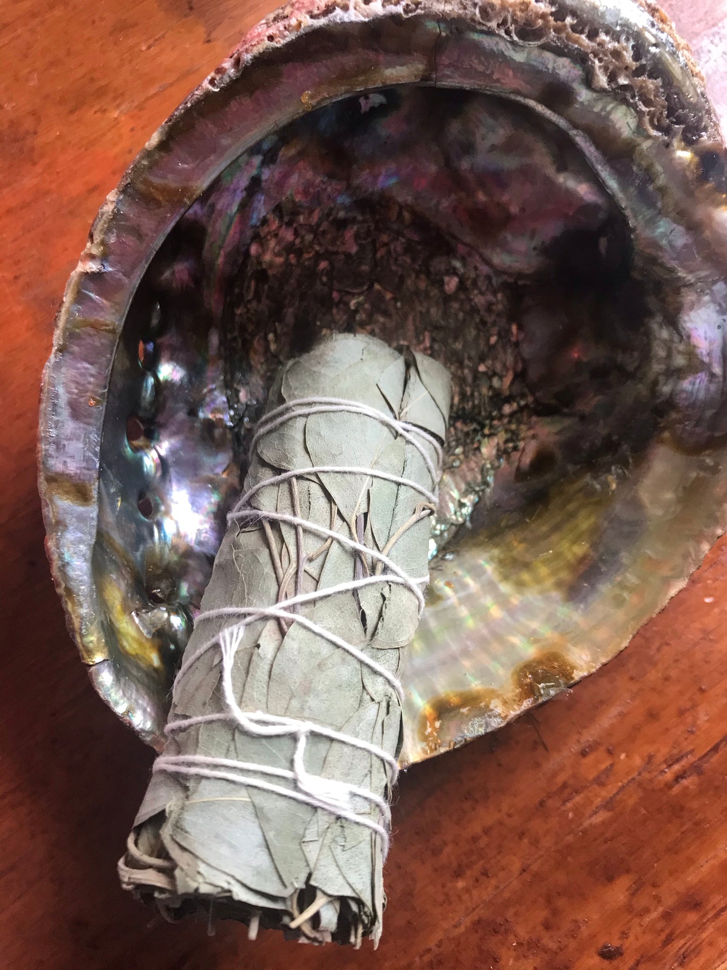 Eucalyptus Bundle - 4"
