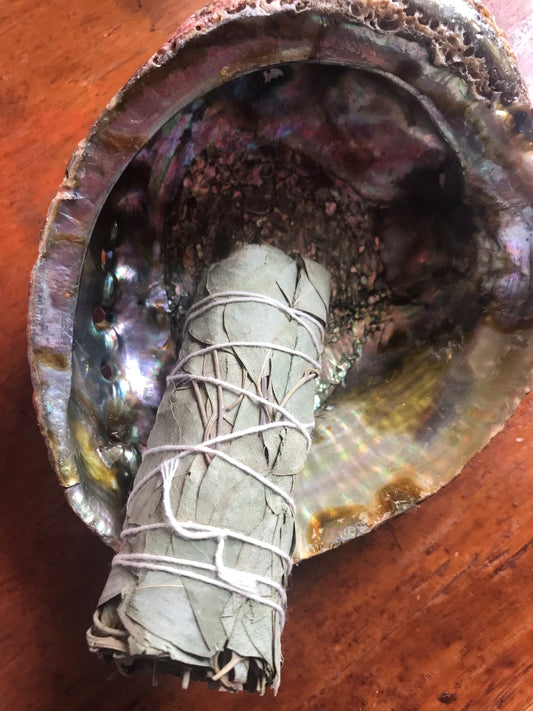Eucalyptus Bundle - 4"