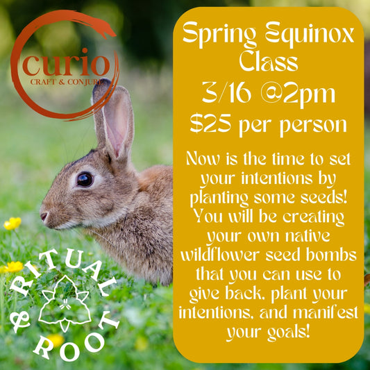Spring Equinox Class 3/16 at 2pm