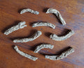 Master Root - Sold Individually