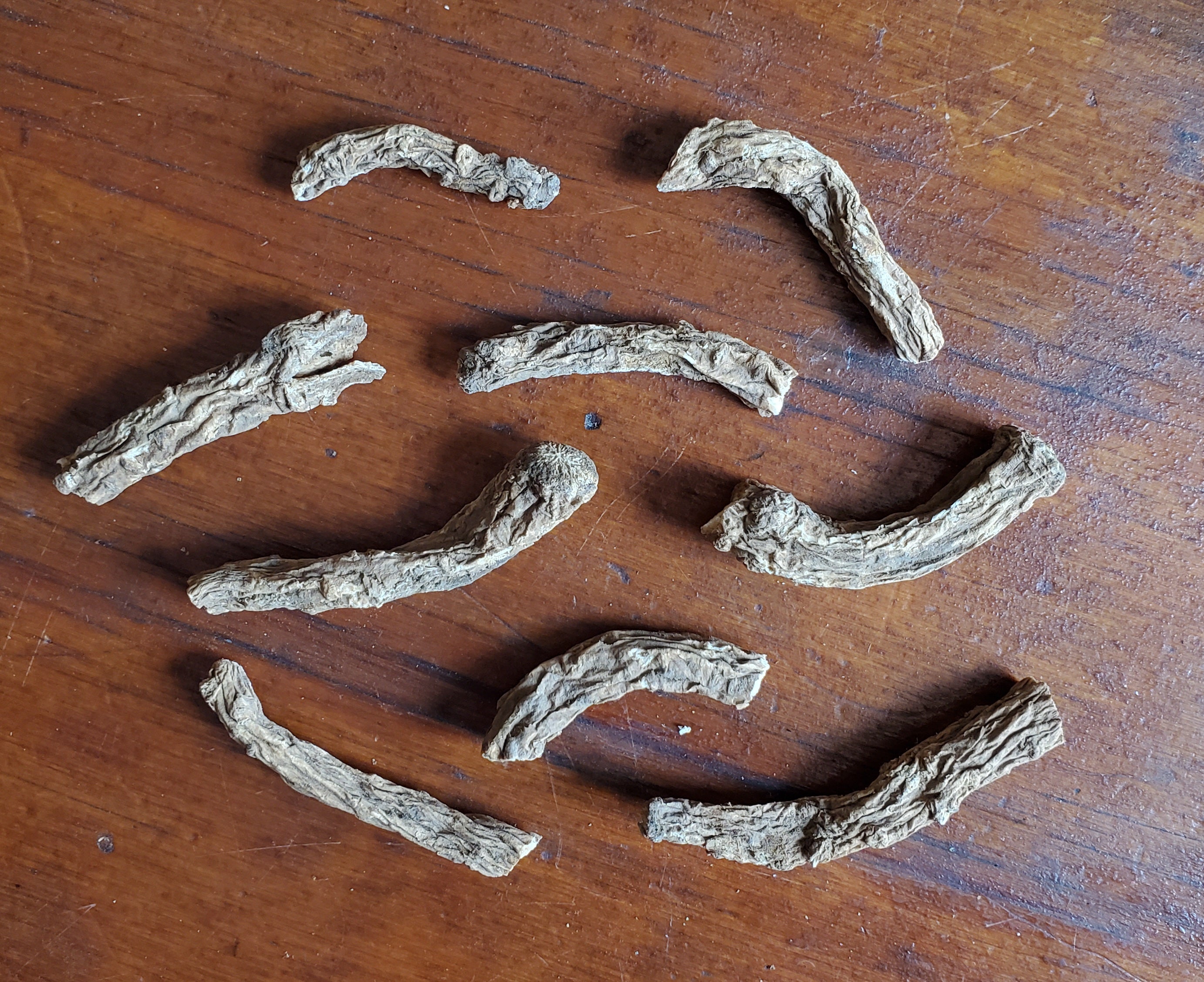 Master Root - Sold Individually