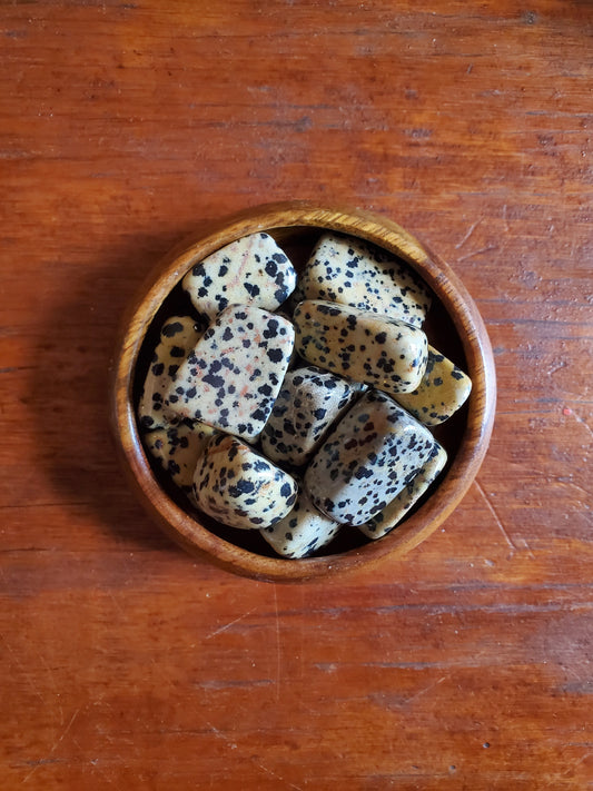 Dalmation Jasper - Tumbled