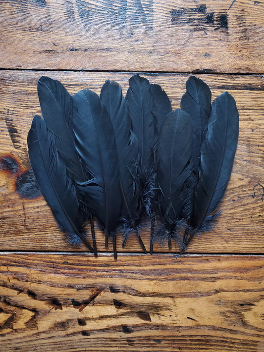 Black Feather - Sold Individually