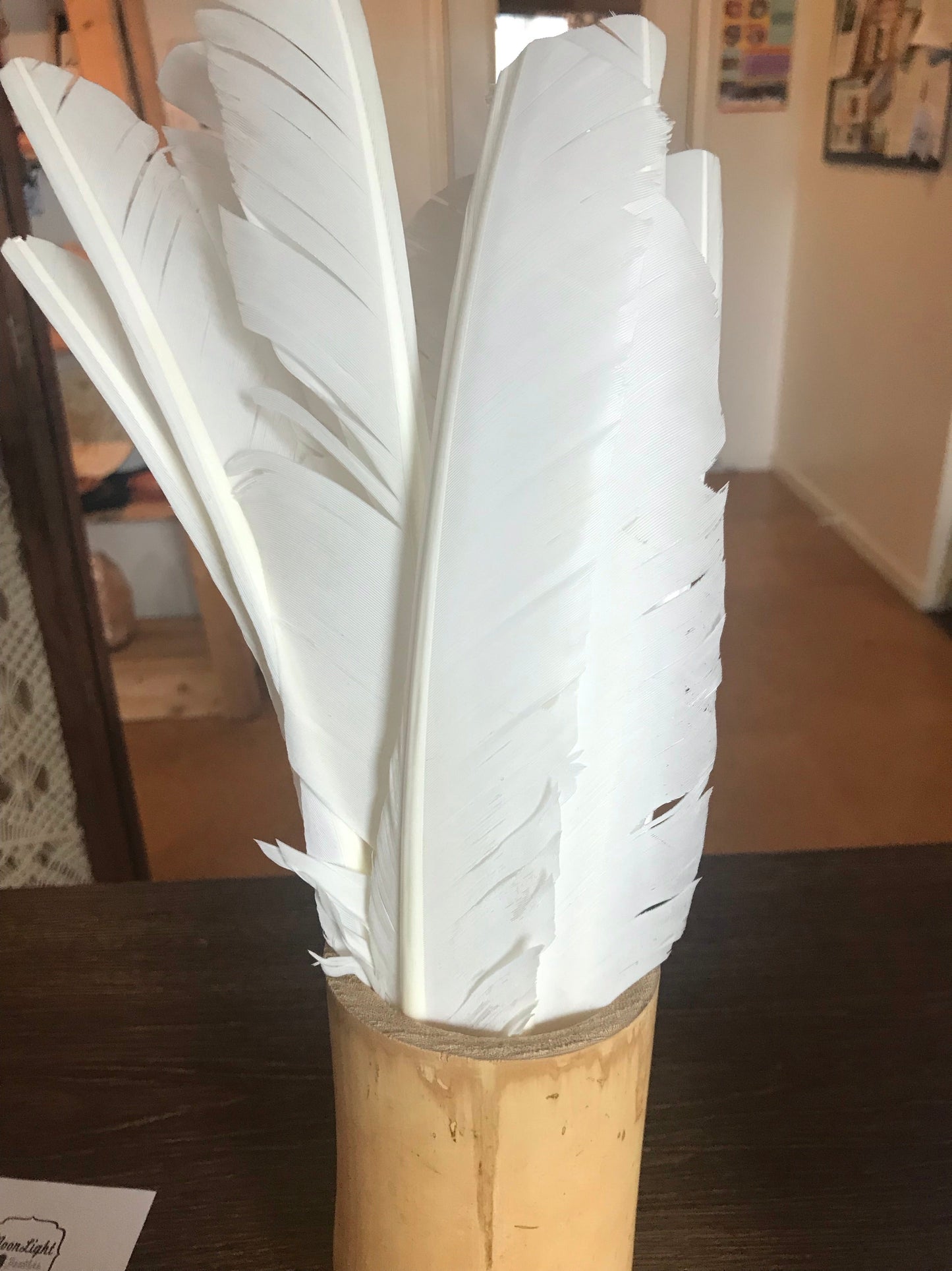 White Turkey Feather - Sold Individually