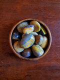 Bumble Bee Jasper