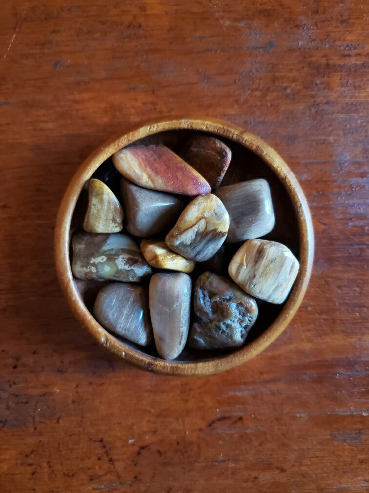 Petrified Wood- tumbled
