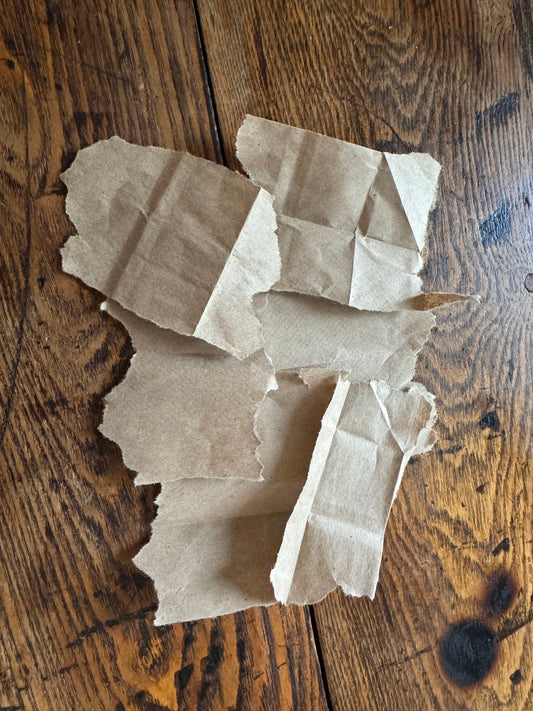 Petition Paper