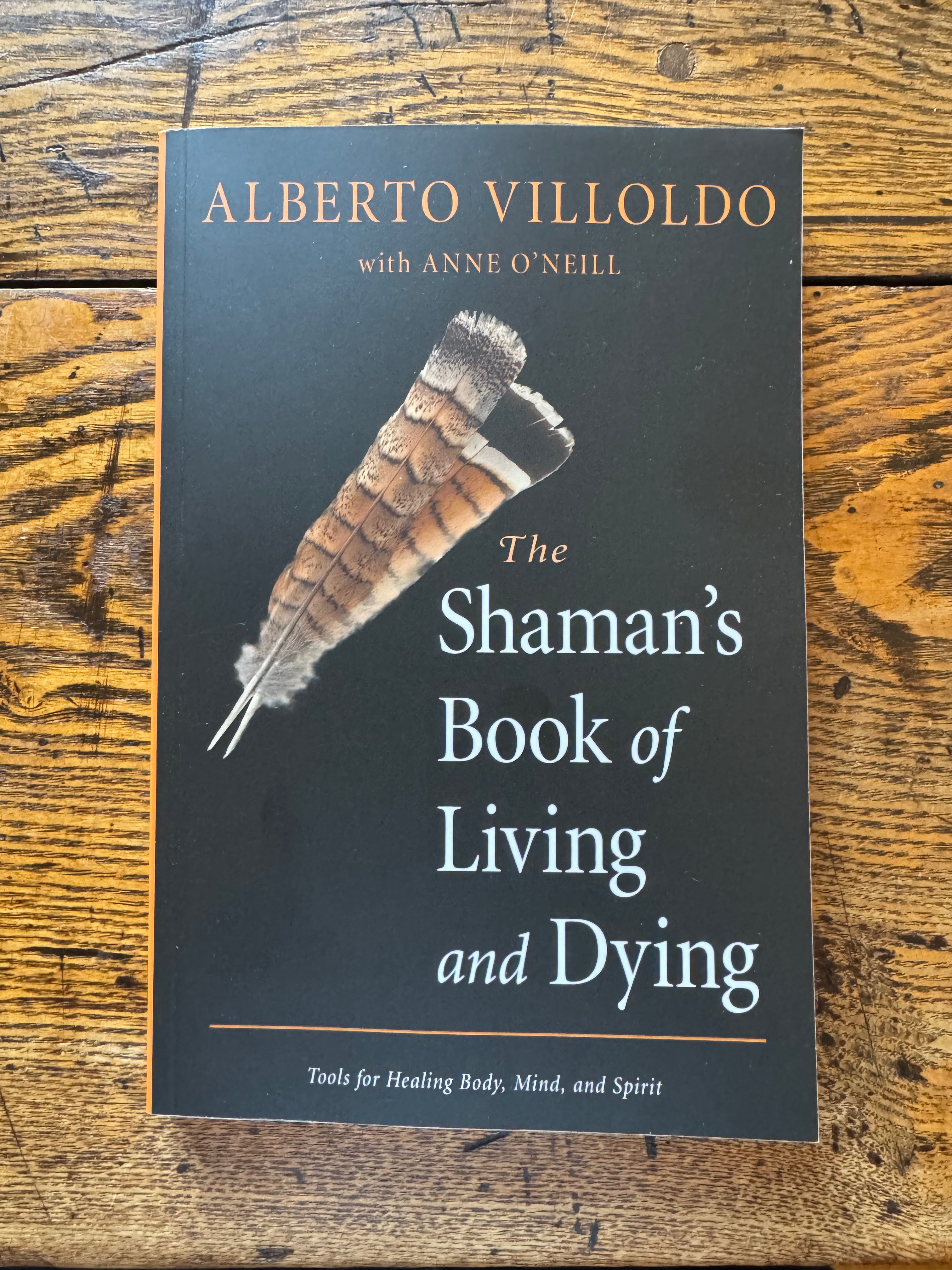 The Shaman’s Book of Living and Dying