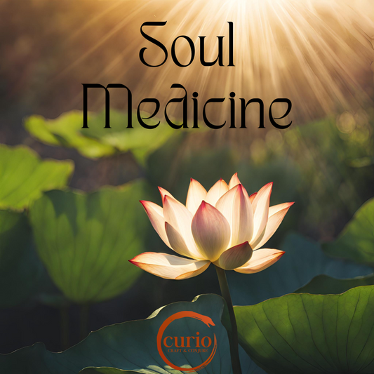 Soul Medicine Online