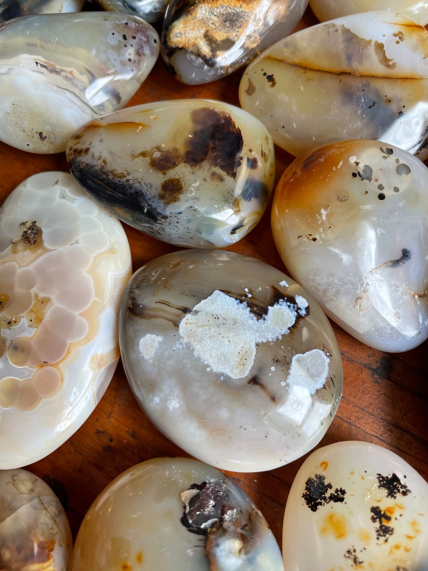 Agate with Dendrite Palm Stone