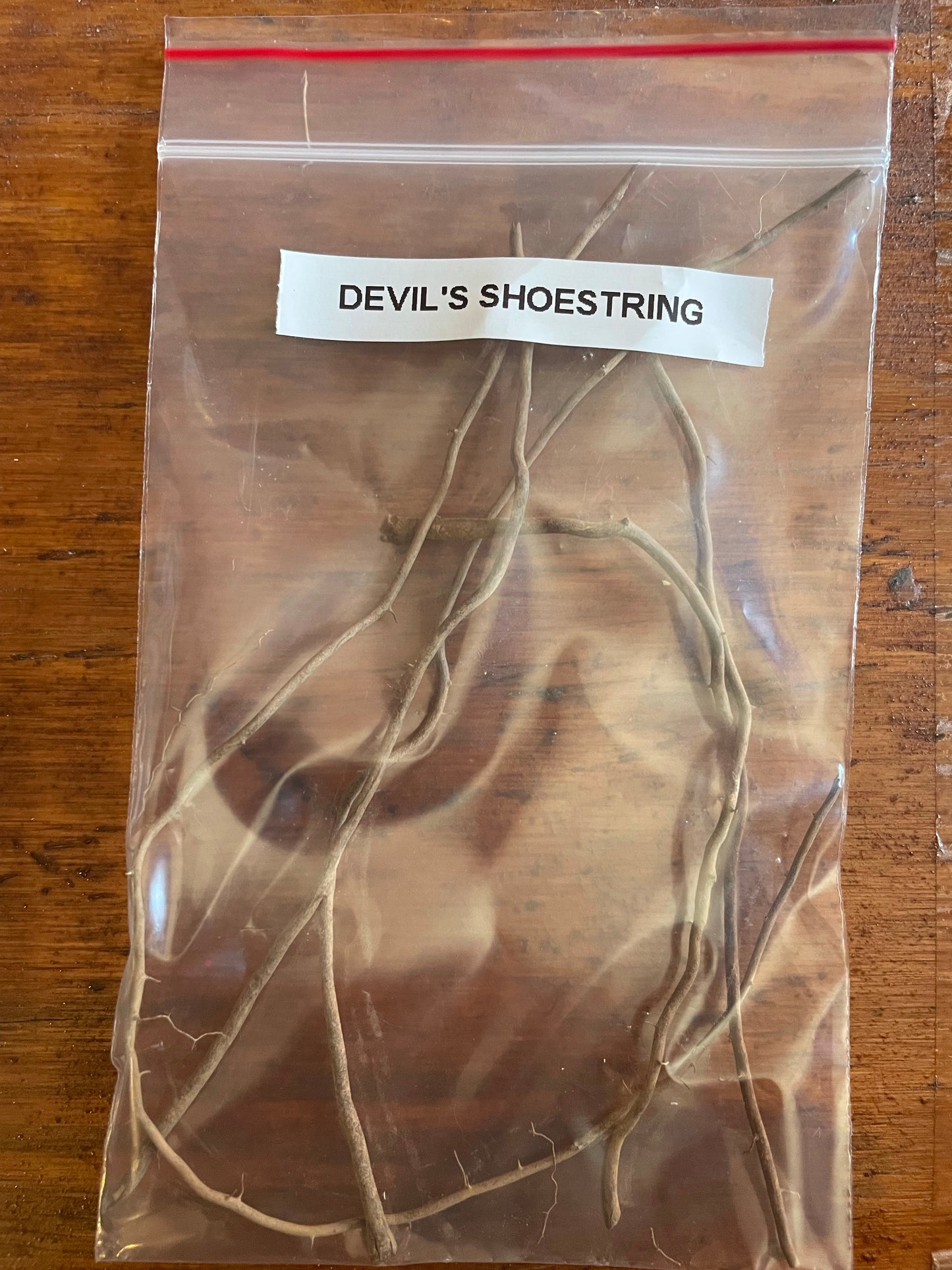Devil’s Shoestring