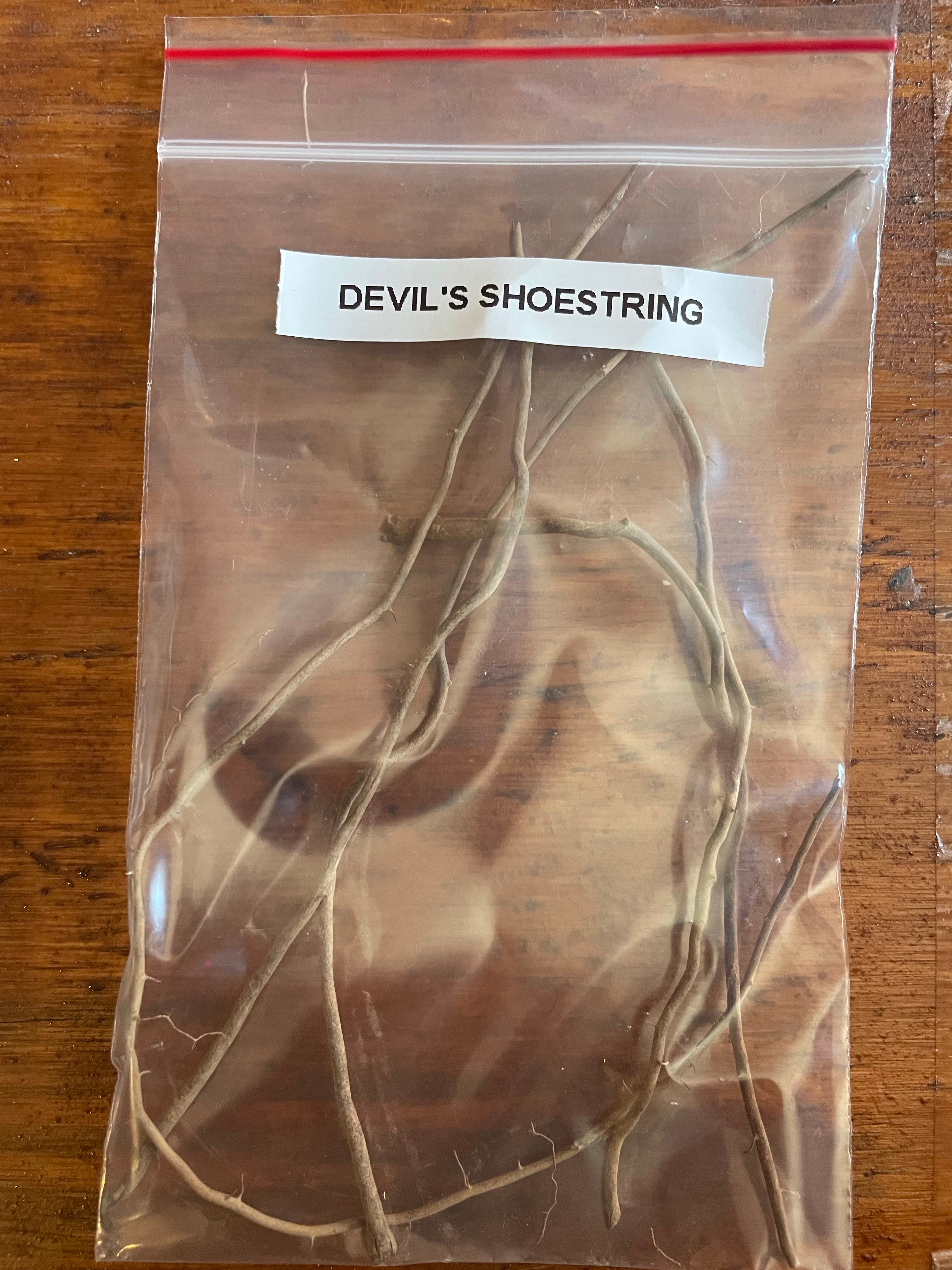 Devil’s Shoestring