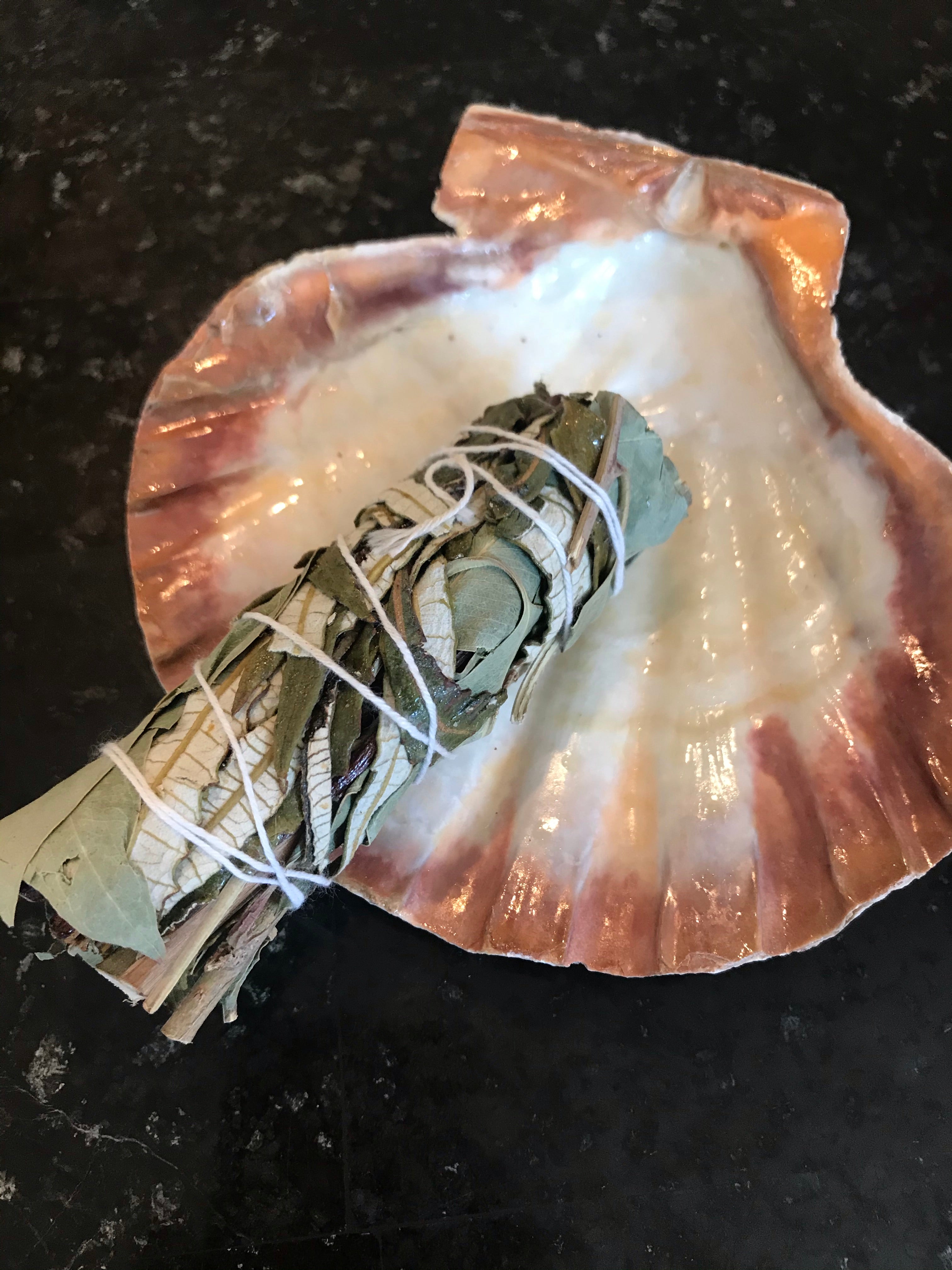 Eucalyptus & Yerba Santa Bundle - 4"