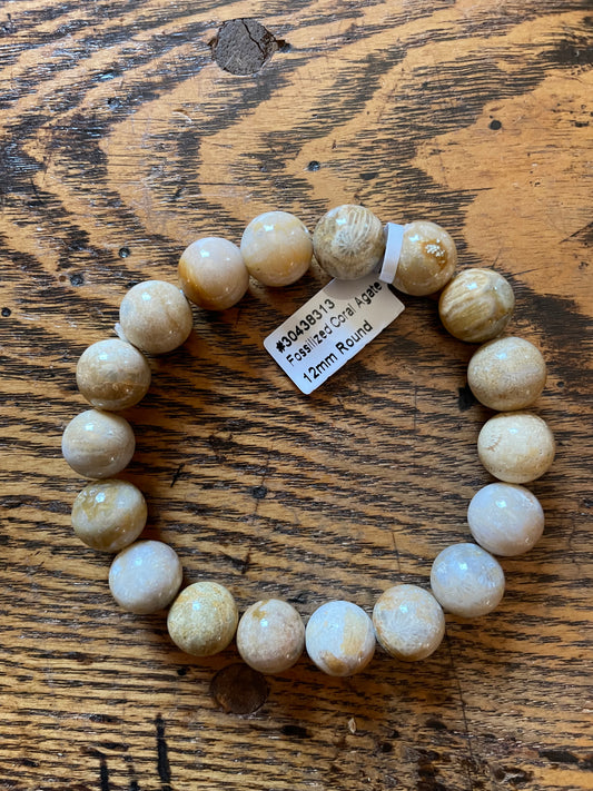 12mm Fossilized Coral Bracelet