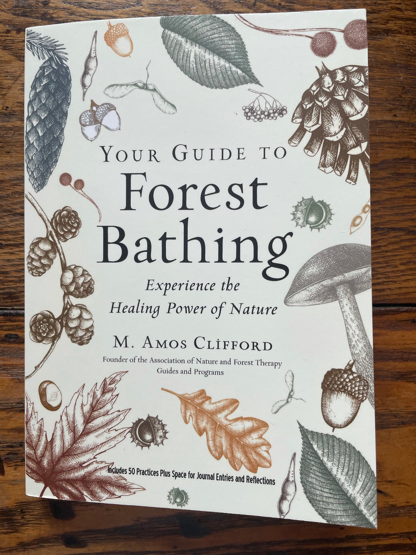 Your Guide to Forest Bathing