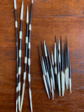 Porcupine Quill - Sold Individually