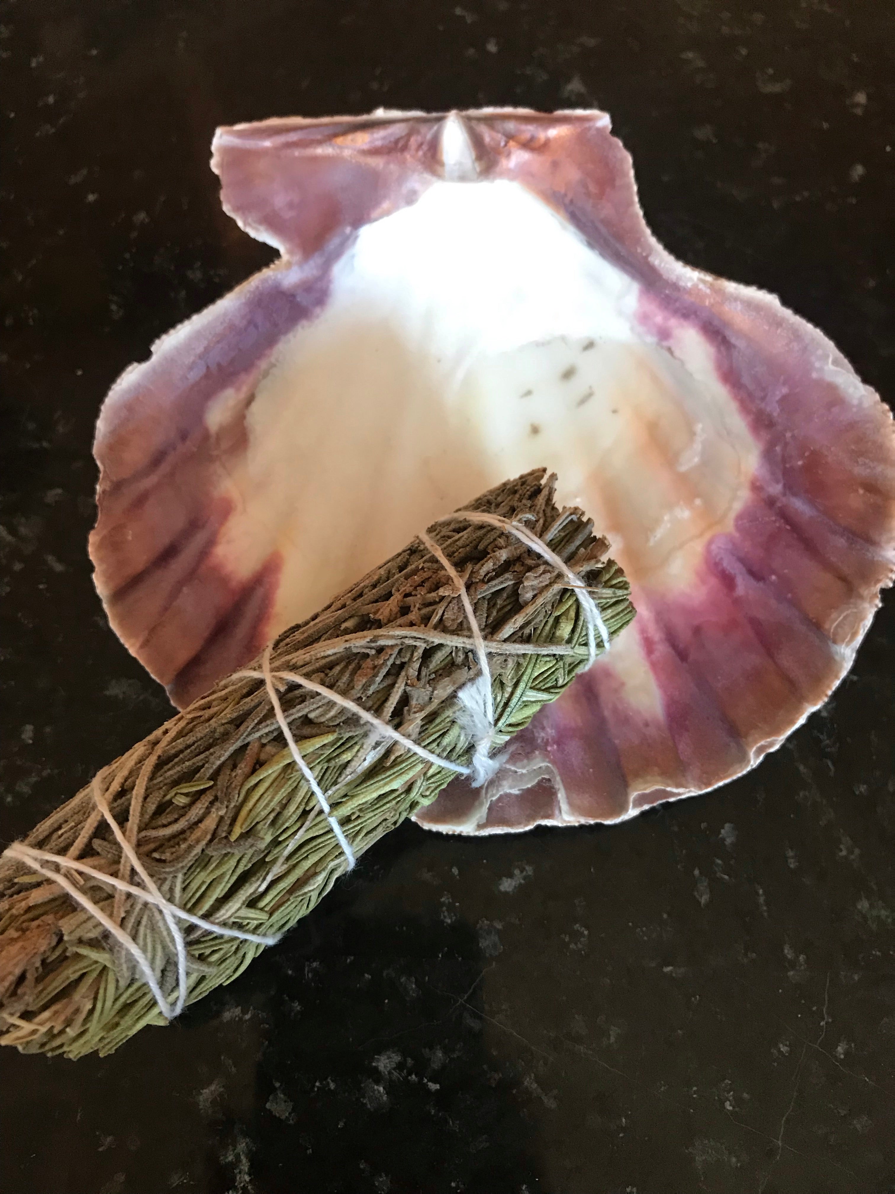 Lavender & Rosemary Bundle - 4”