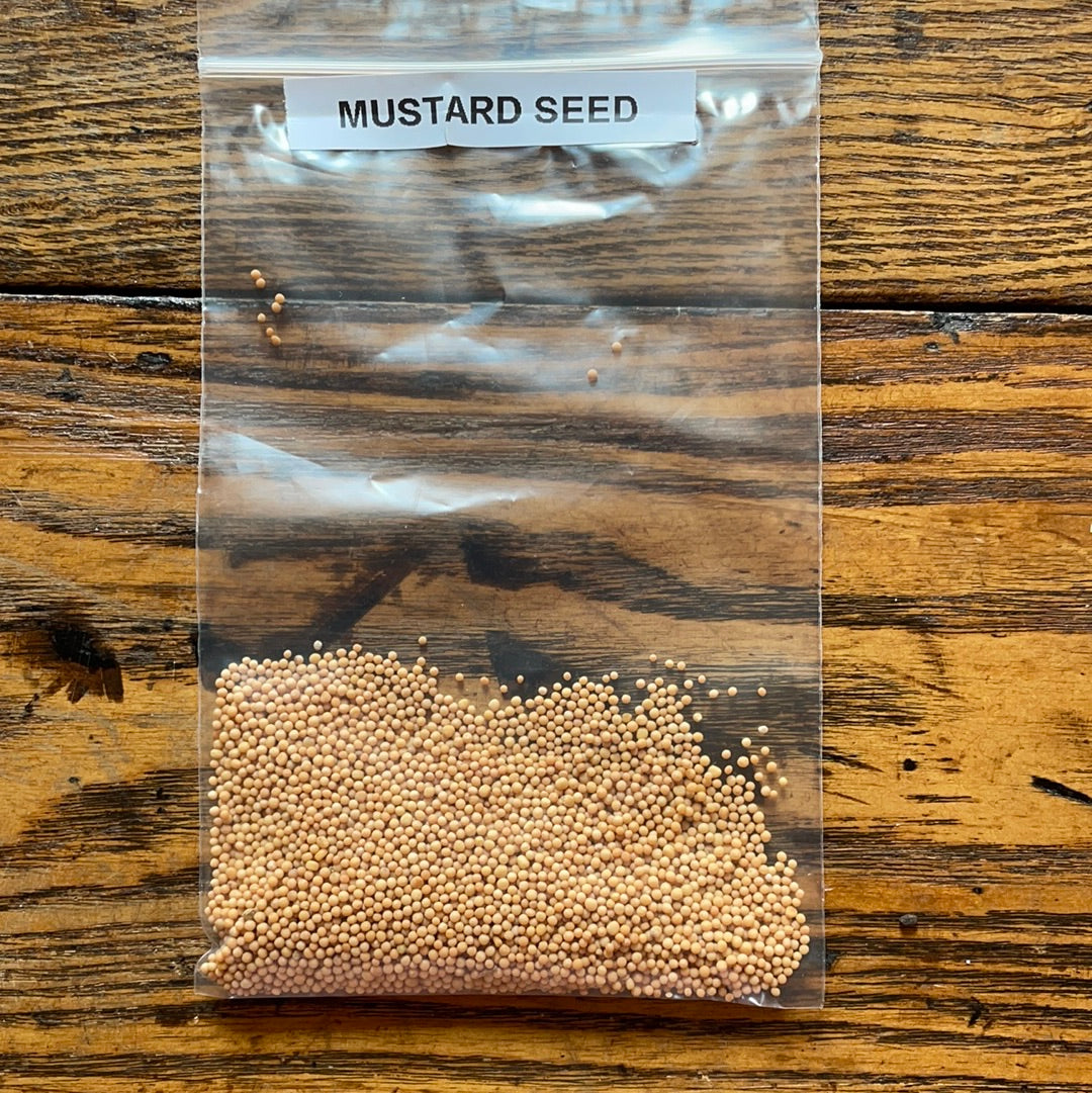Yellow Mustard Seed per ounce