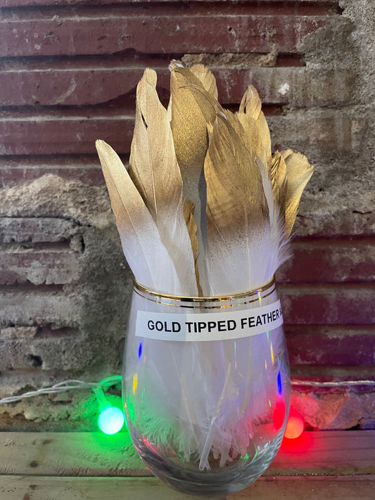 Gold Tipped Feather